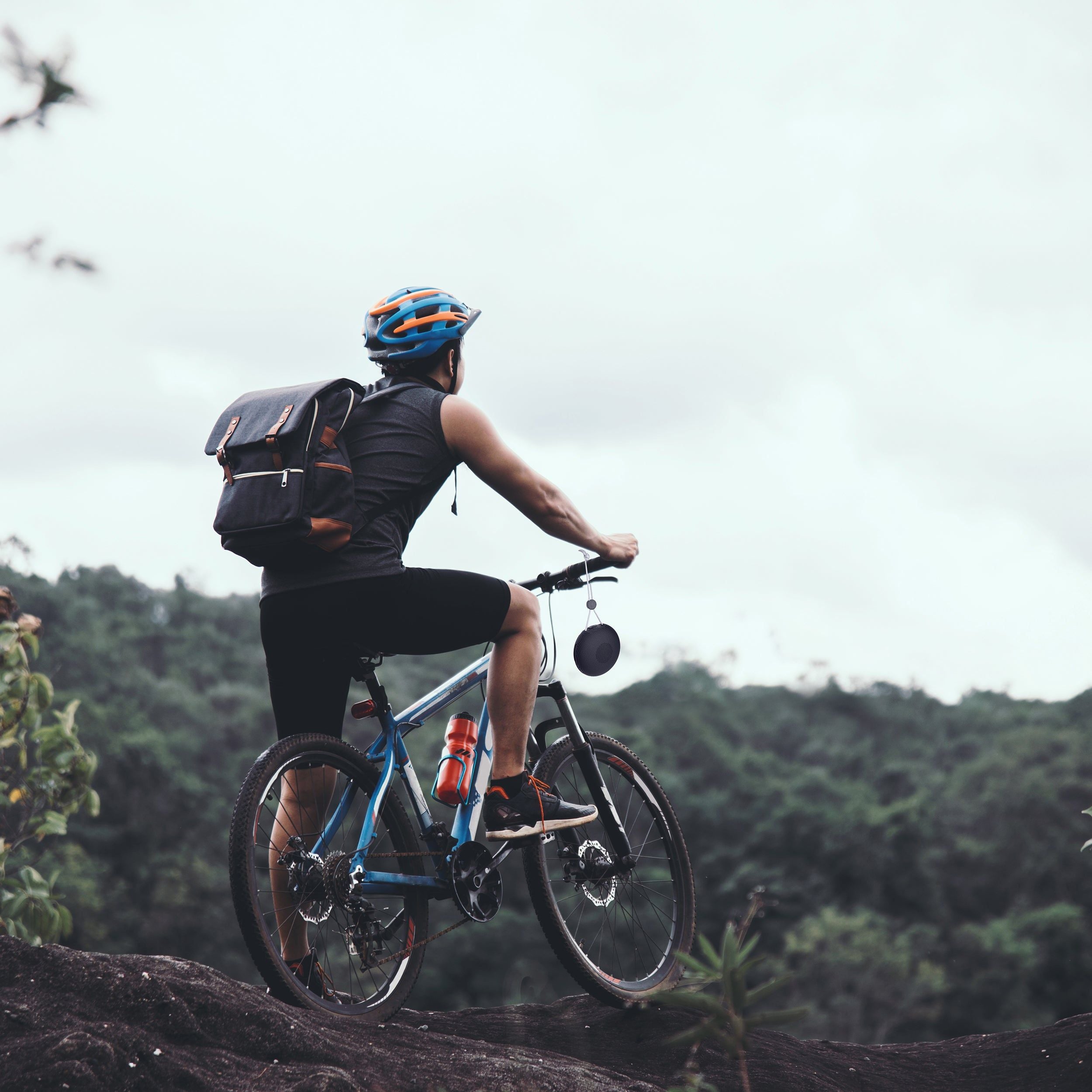 DICTROLUX - Cassa Bluetooth Wireless DLX80